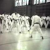 023 Stage 1984